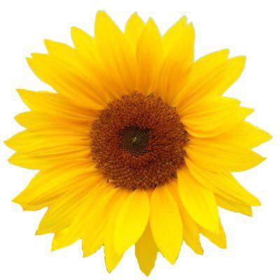 なっつんのトーク