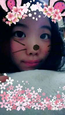seika趣味垢