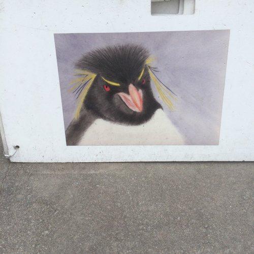 Sのトーク