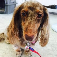 お喋りトーク❤️