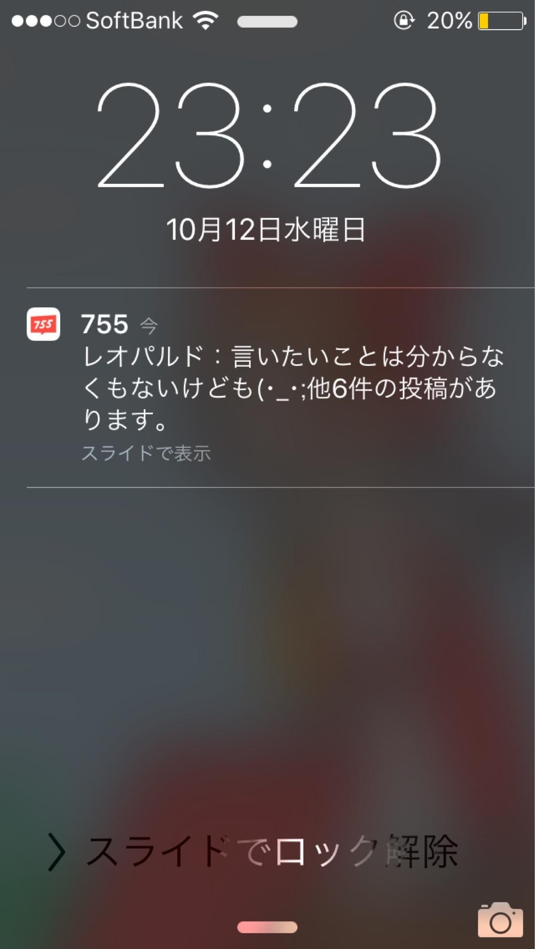 投稿画像
