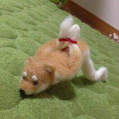 サバゲとアニメと音楽に生きるダメ人間のトーク