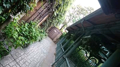 ミケランジェロのトーク