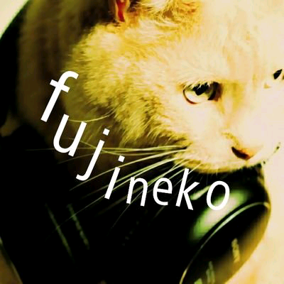 Fujineko/ふじ猫