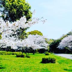 タイムのお気楽トークルーム