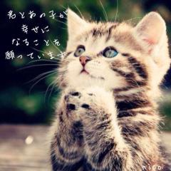 暇な人話しましょ！