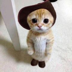 雑談トーク
