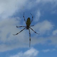 ささる@ダイエット失敗www