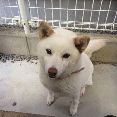 さっちゃんのトーク