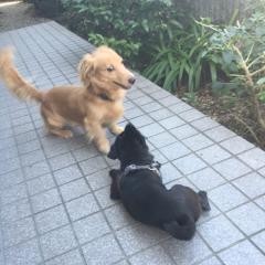 きのここ