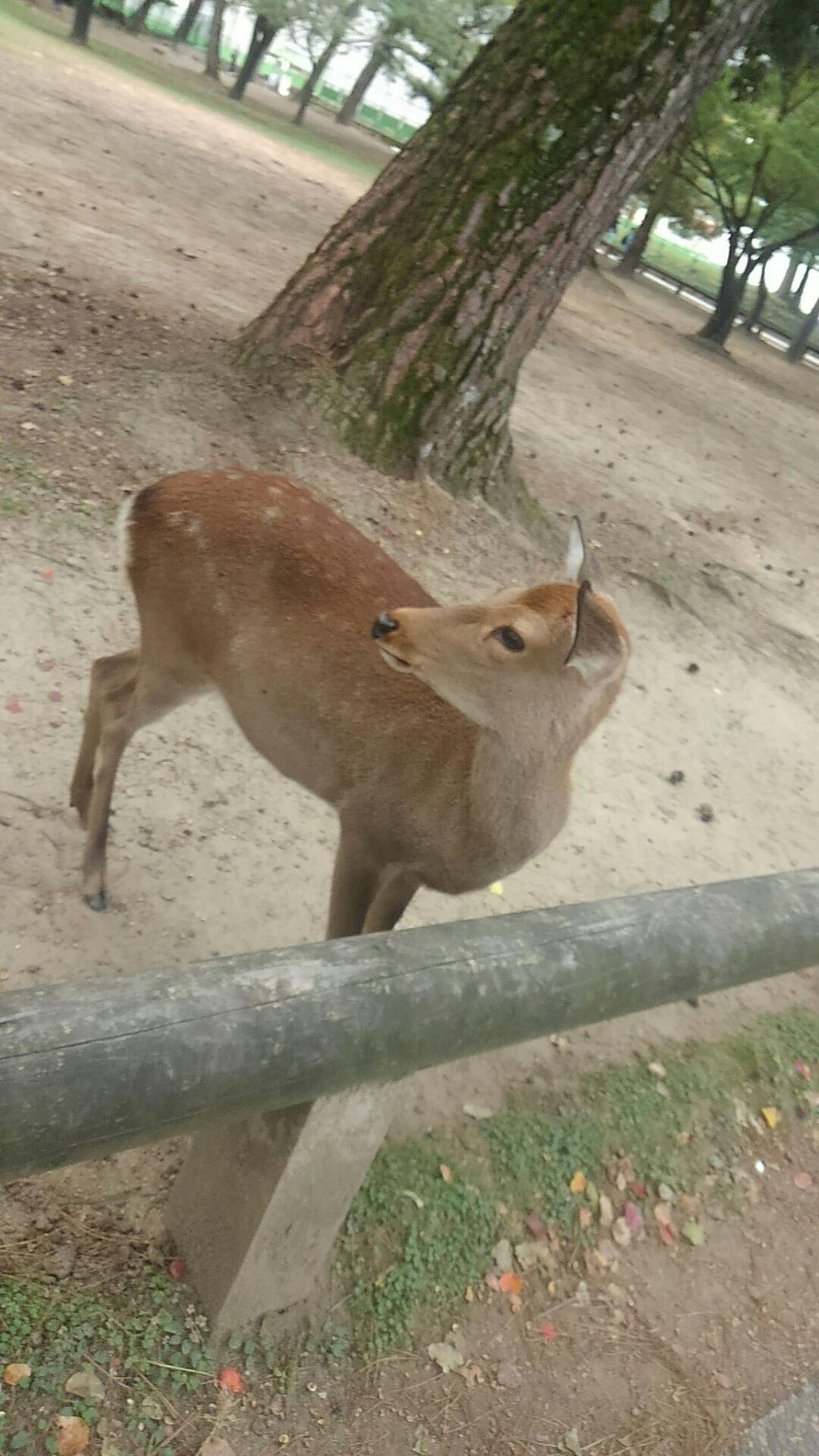 ę稿ē»å