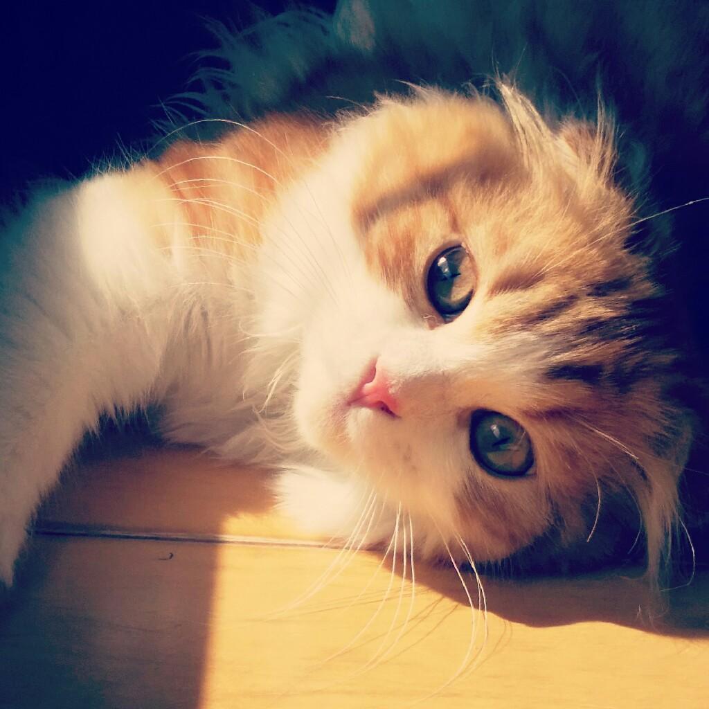 ゆうや