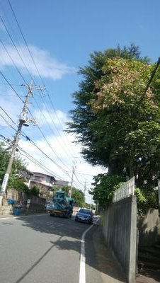 ようのトーク