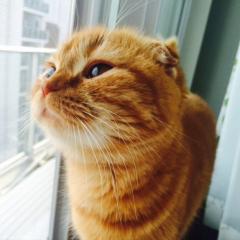 まな(*^^*)のトーク