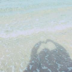 *⑅︎୨୧┈︎🐰⋆͛♡⋆͛🐰┈︎୨୧⑅︎*