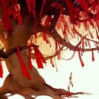 木尹426のトーク