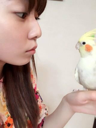 フィアン