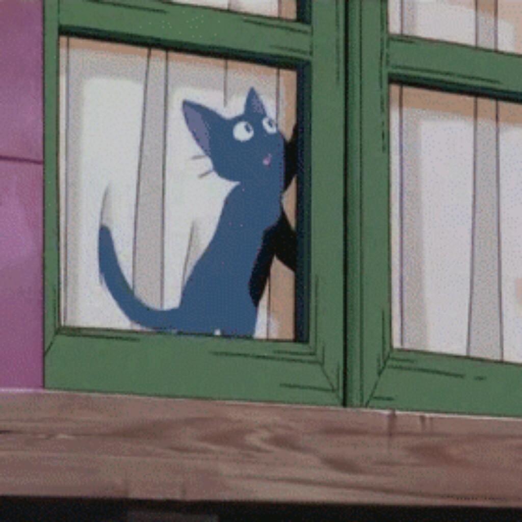 しおり*ﾟのトーク