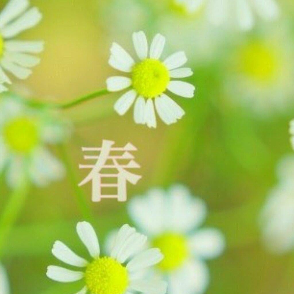 春が一番好き(^-^)