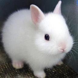 ききᒼᑋªⁿ♥︎