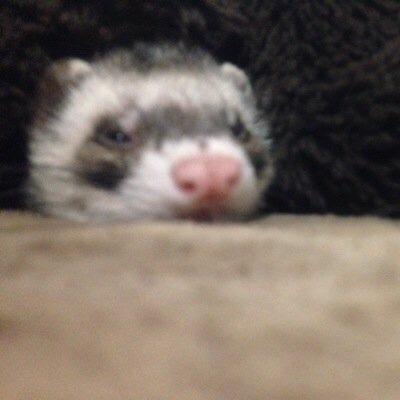 きしもとせいや