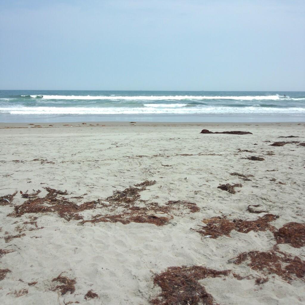 U.G.のアイドルを語る場