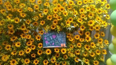 ゆっぴチャンピオン