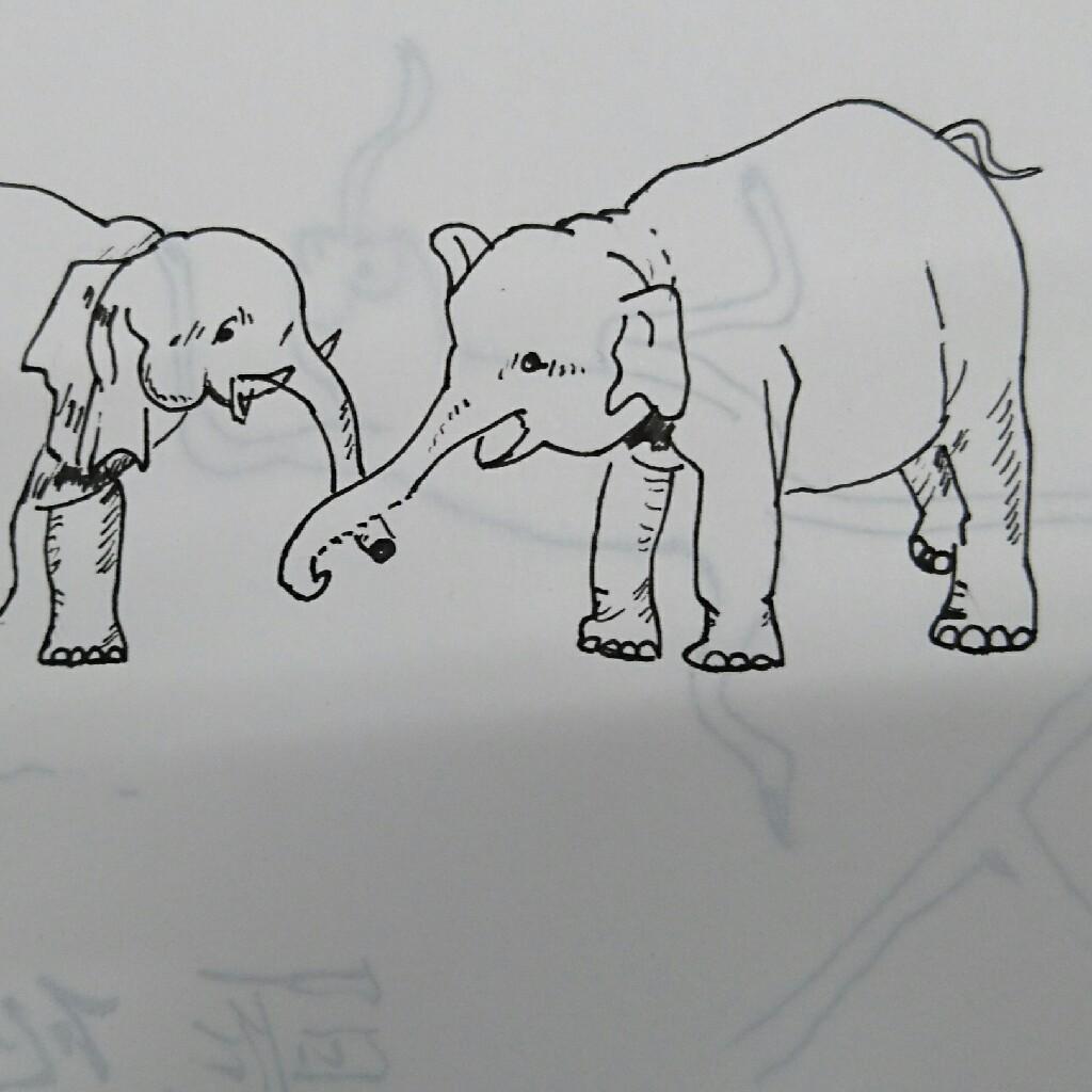 純平