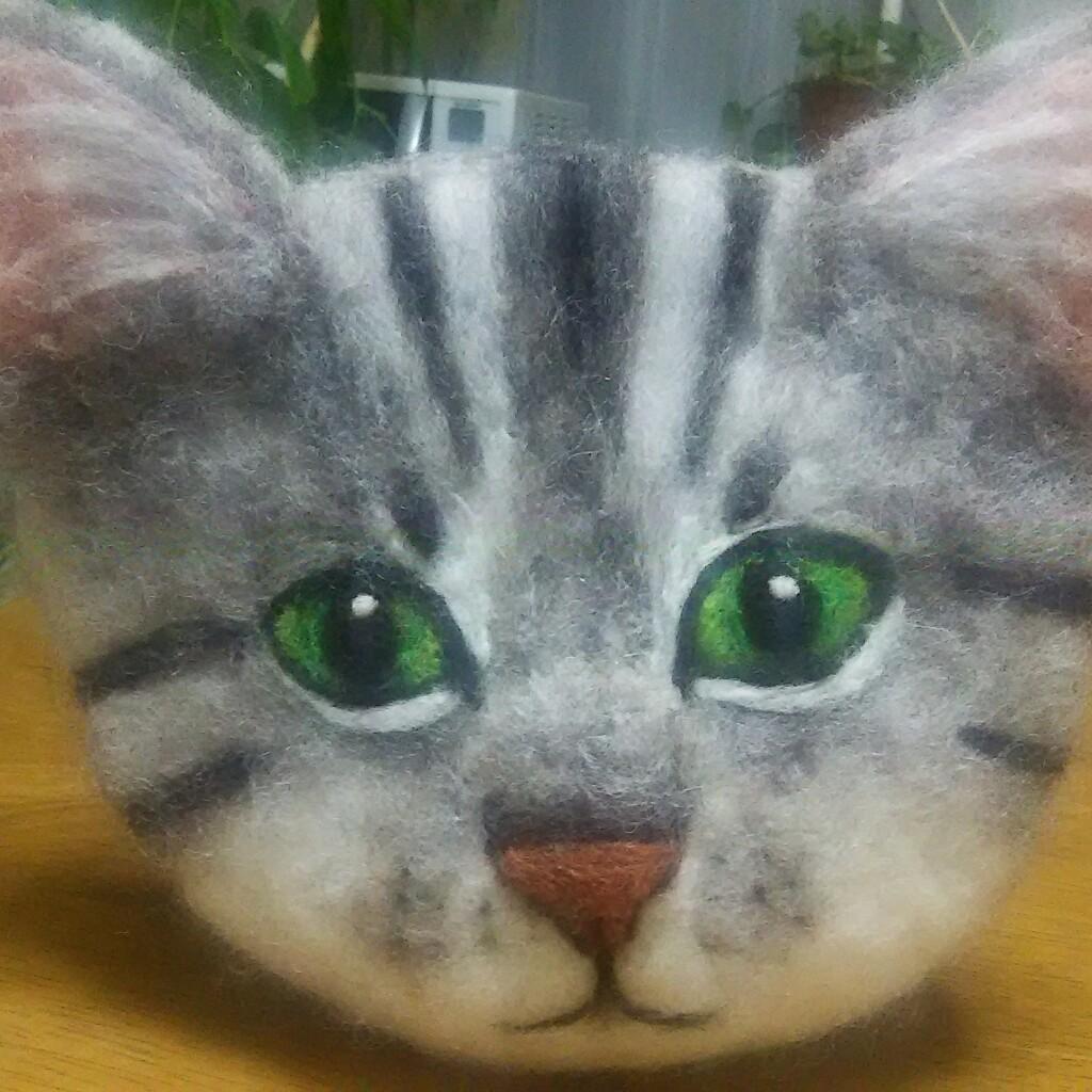 ちゃけ