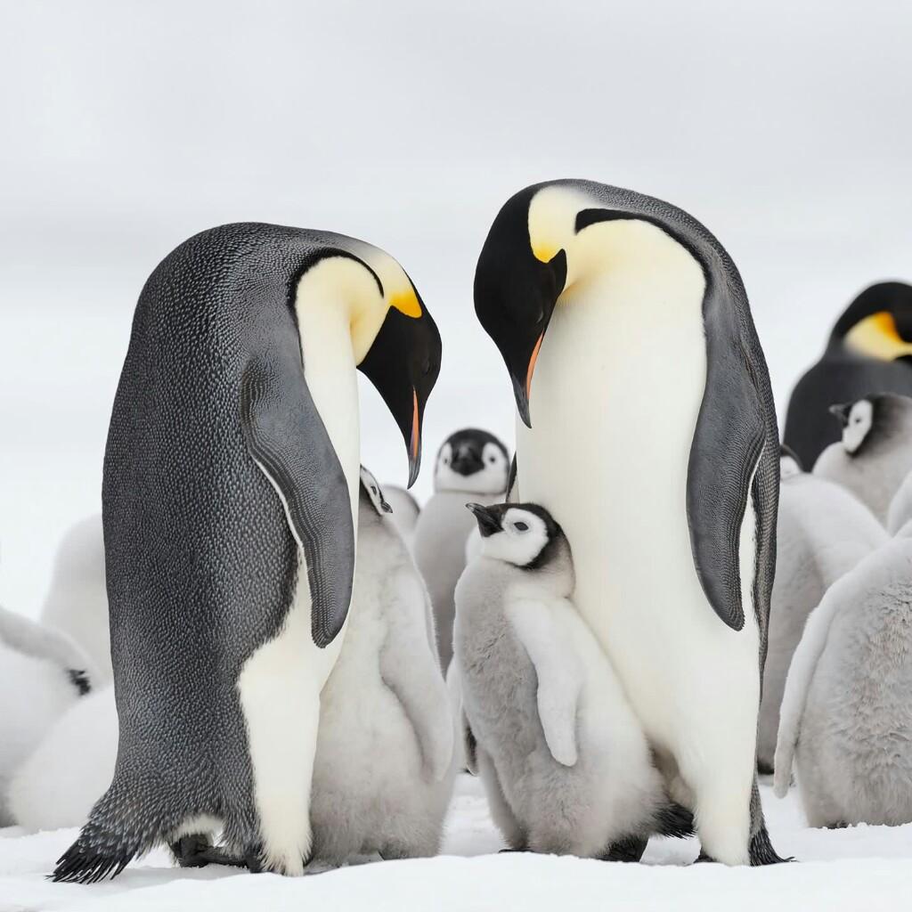 冬から始まり〜