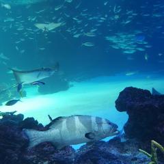 💚心の楽園 メンタルhouse〜💚