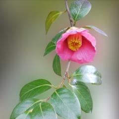 血液型 O型の人話そうよ🙂