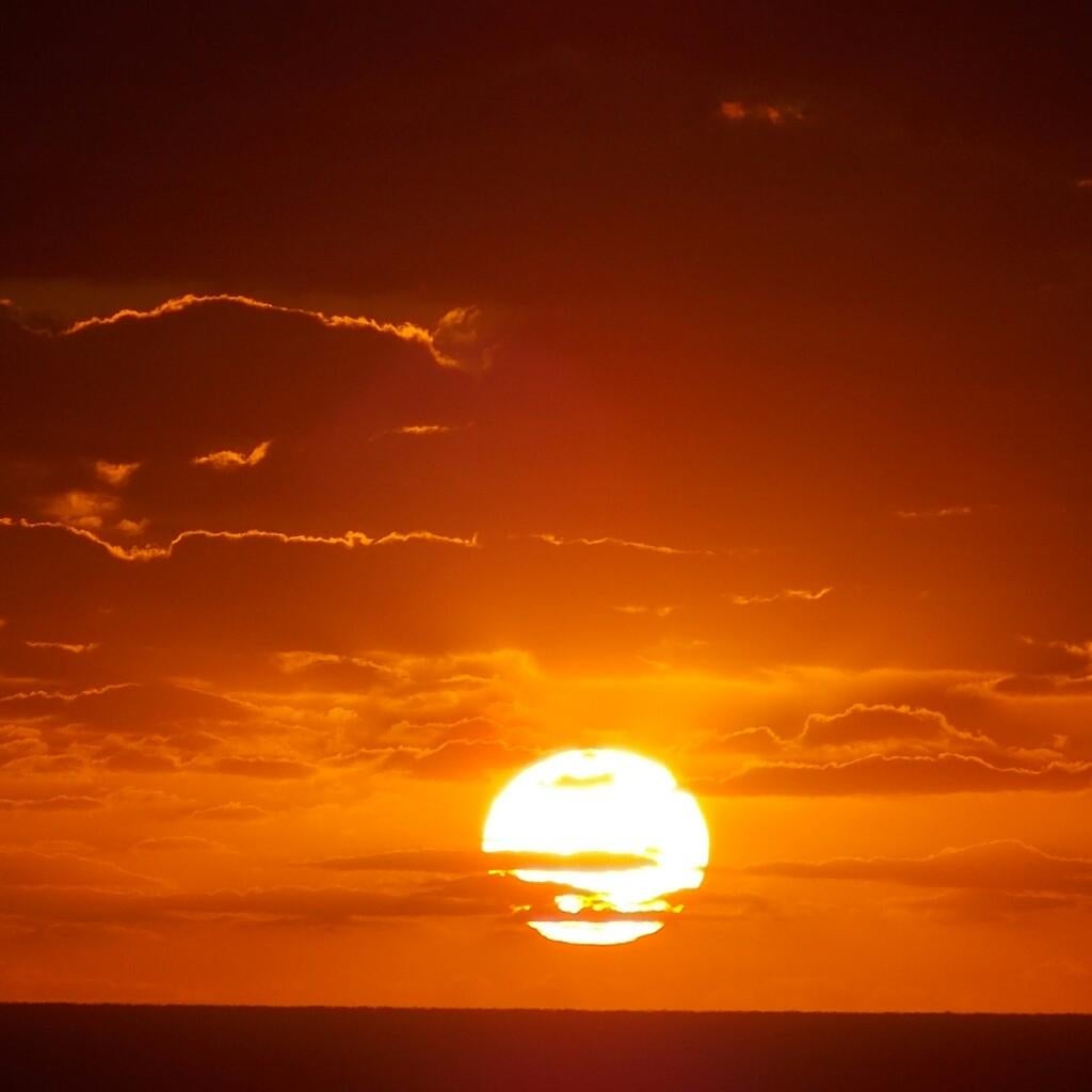 気になるニュース🆕👂