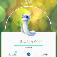 HKTが大好きっちゃん！！！