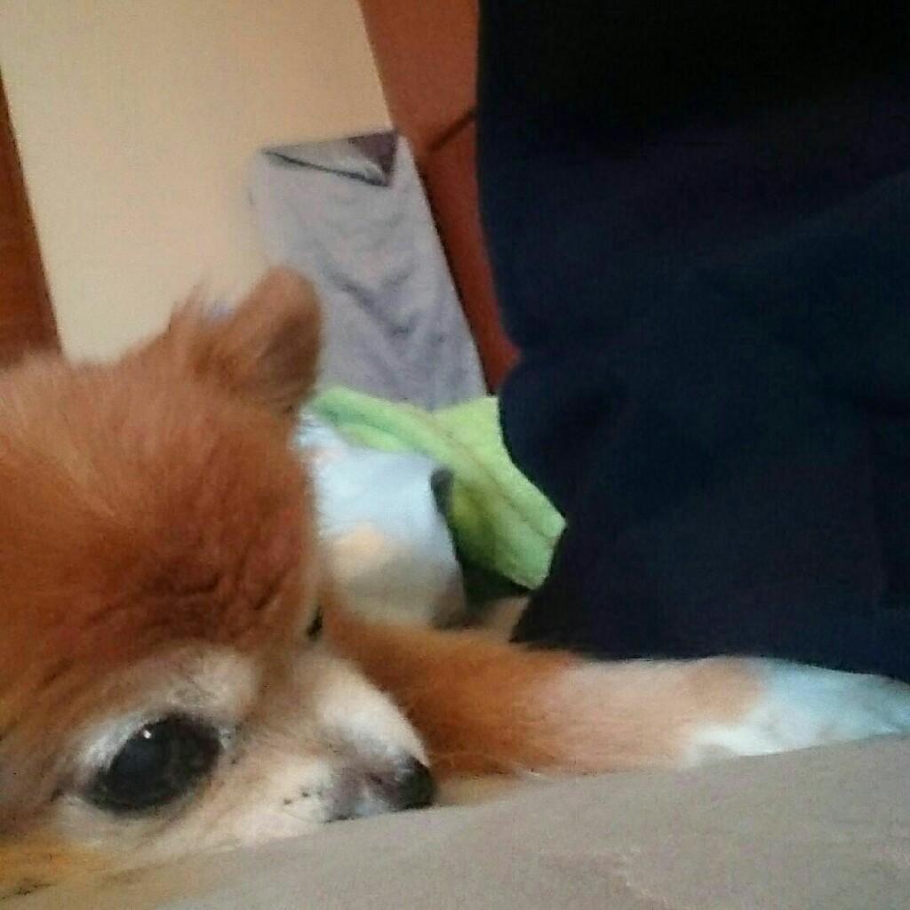 チャーちゃん部屋♥