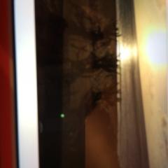 ていふじょう。