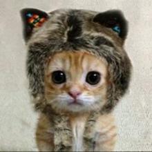 ミラクルさんを帰りを待つ部屋