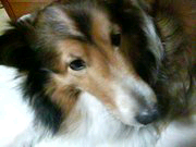 taka