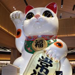 まったりぼーい 昂大(たかひろ)