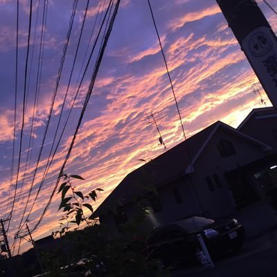 ホワイト