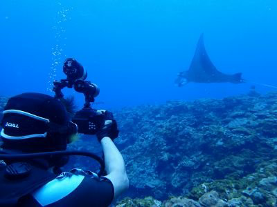 ダイバー🐬🌴ヒトシのトーク