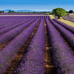 ヤマサキユウジのトーク