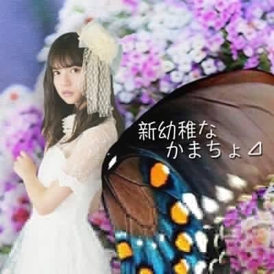 新幼稚なかまちょ