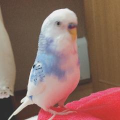 クソトーク