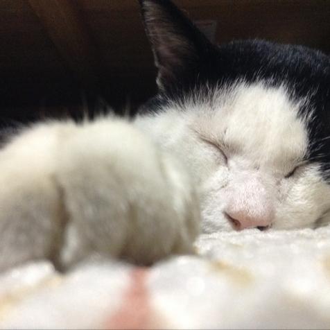 たくみん ⊿