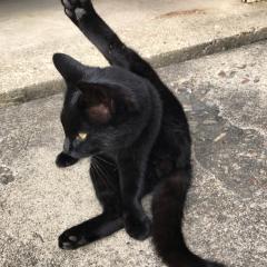 ゆうすけ
