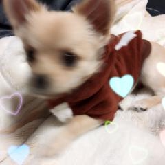 みゆきのトーク