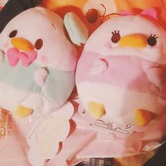 木佐 さくら
