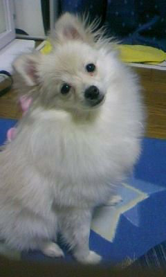 金澤 健のトーク