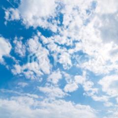 まにきゅら